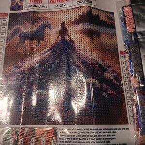 Diamond Art Kit with Horse and Woman Design 20x20